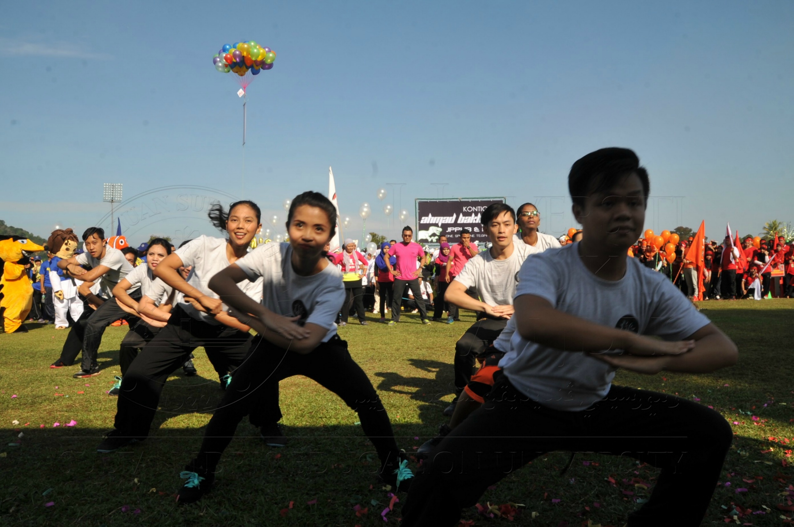 PRO 15 53 KIESTA HAS 3870